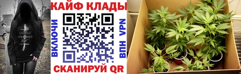 Цена Туймазы СК  Cocaine  Амфетамин  Конопля  ГАШ 