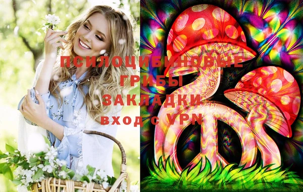 бошки Баксан
