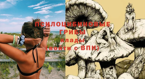 гашишное масло Пересвет