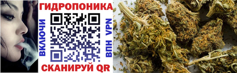 где купить   Туймазы  Шишки марихуана SATIVA & INDICA 